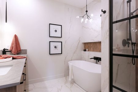 Starling-image-1 Starling-image-1