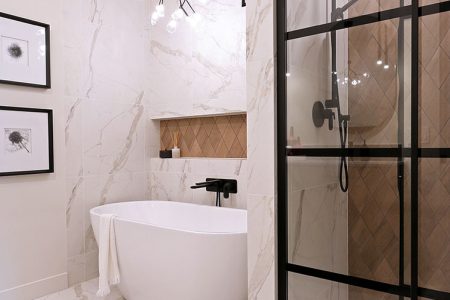 Starling-image-4 Starling-image-4